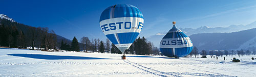 Festo Twin Ballons