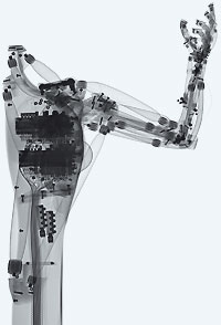 Airic’s_arm