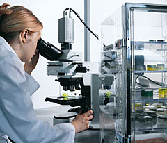 Technology and Testing