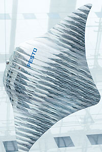 Air_ray