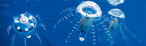 AquaJelly