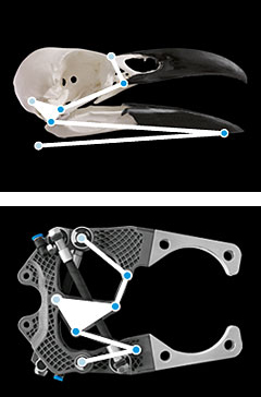 PowerGripper