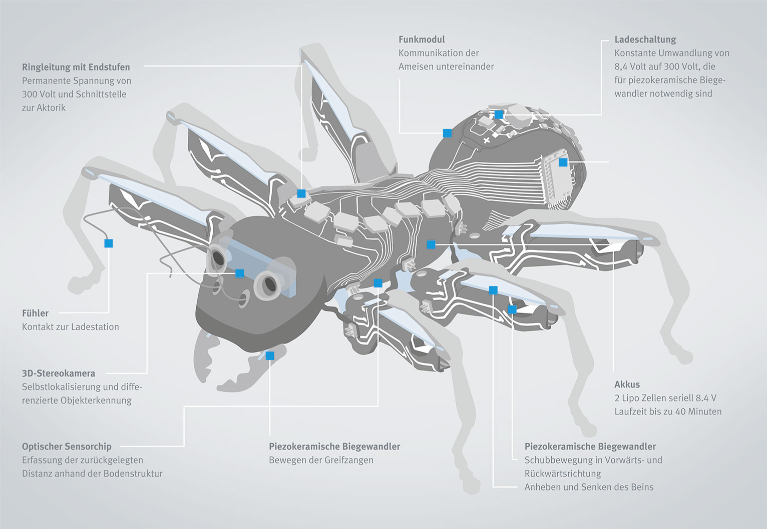 Elephorm autocad 2017 fr xka