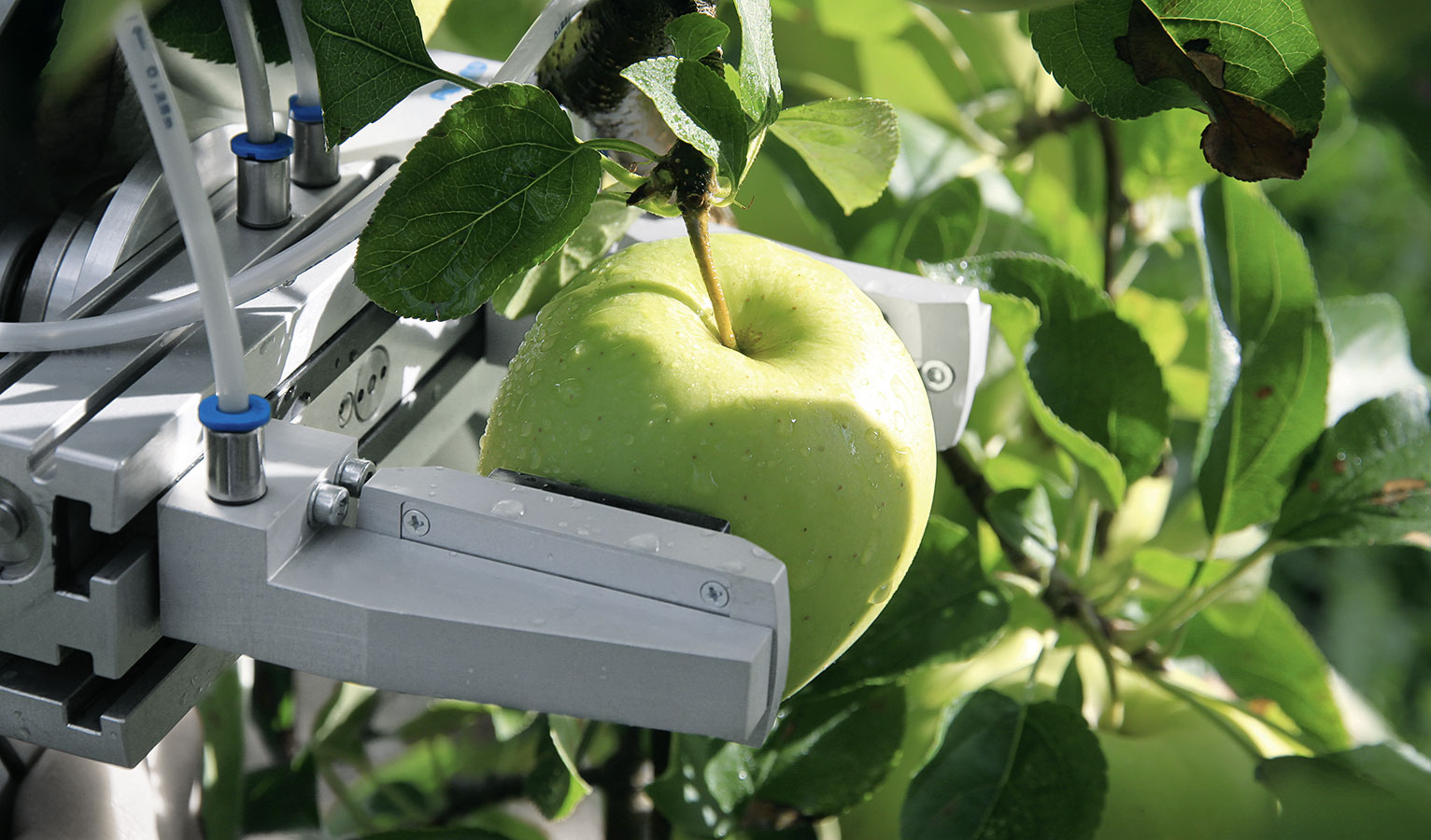 Forschungsprojekt CROPS entwickelt Ernteroboter