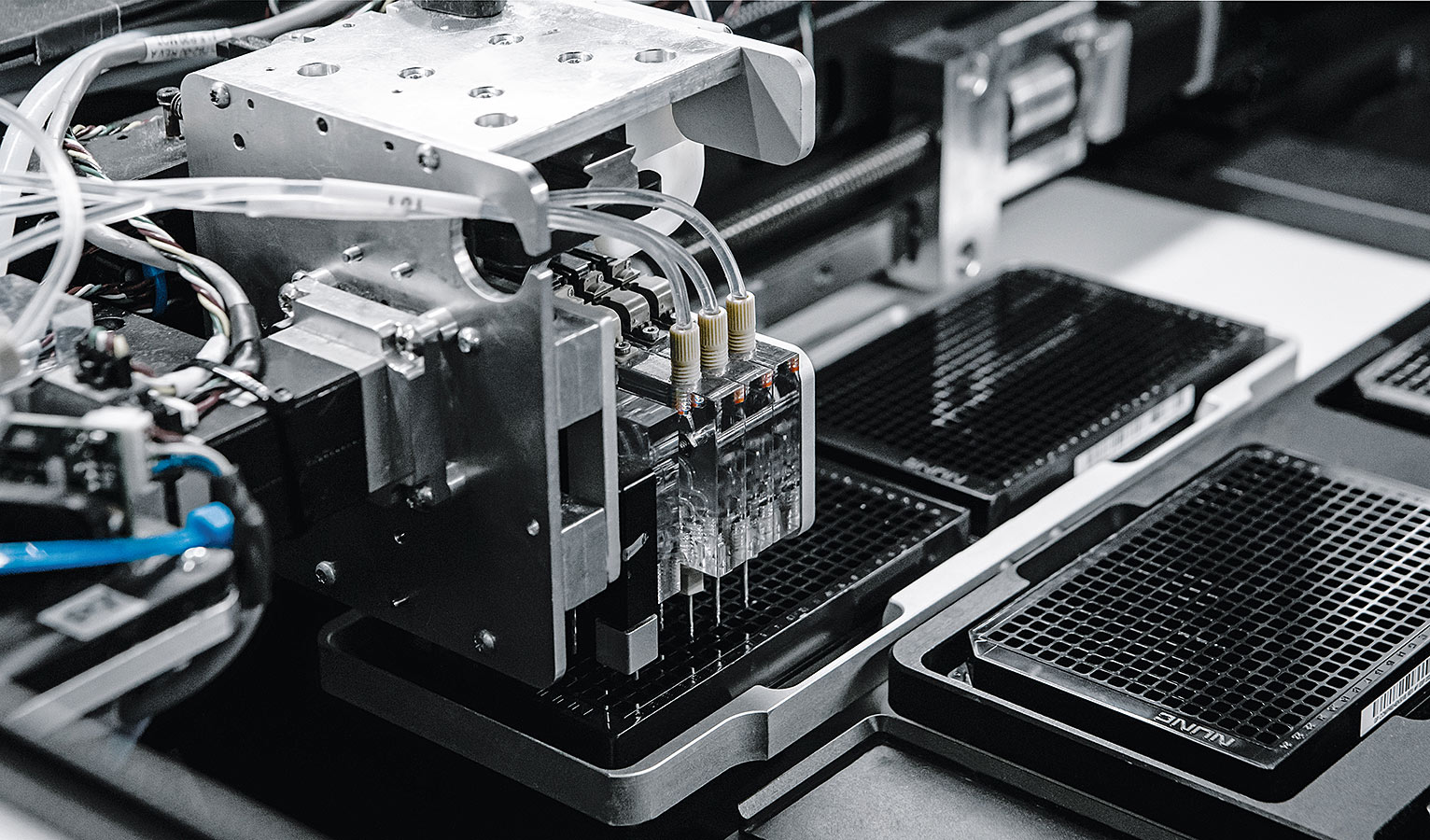 SeLux NGP ermittelt, auf welche Antibiotika der Krankheitserreger reagiert und gegen welche er resistent ist.