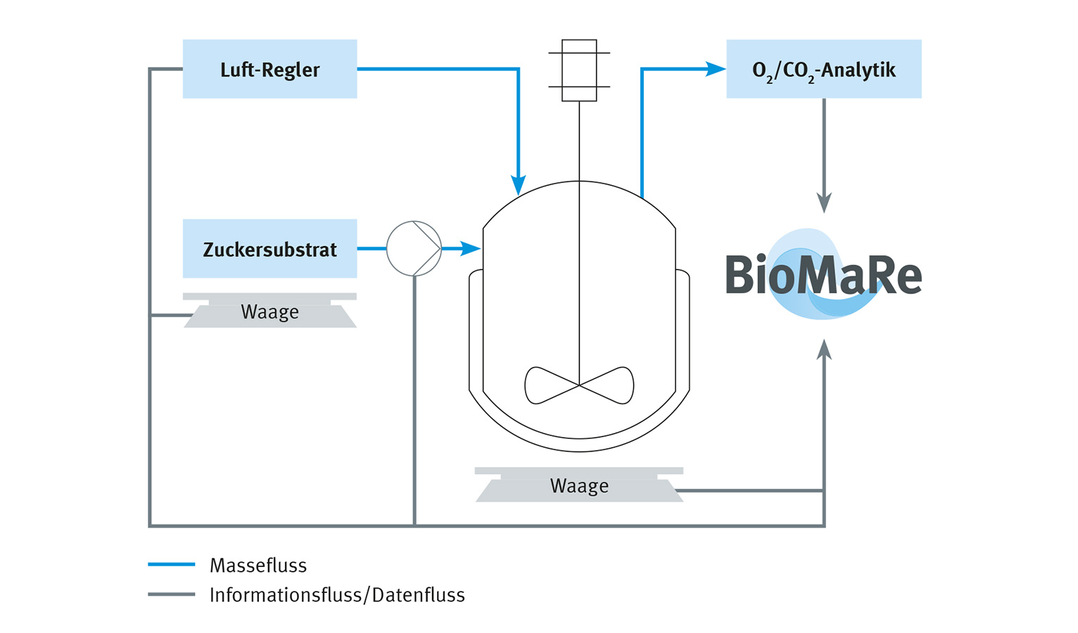 In die Berechnung der Biomasse werden unter anderem die Zufuhr an Nährstoff und Luft, der Reaktorfüllstand und die Menge des von den Bakterien ausgeatmeten CO2 mit einbezogen.
