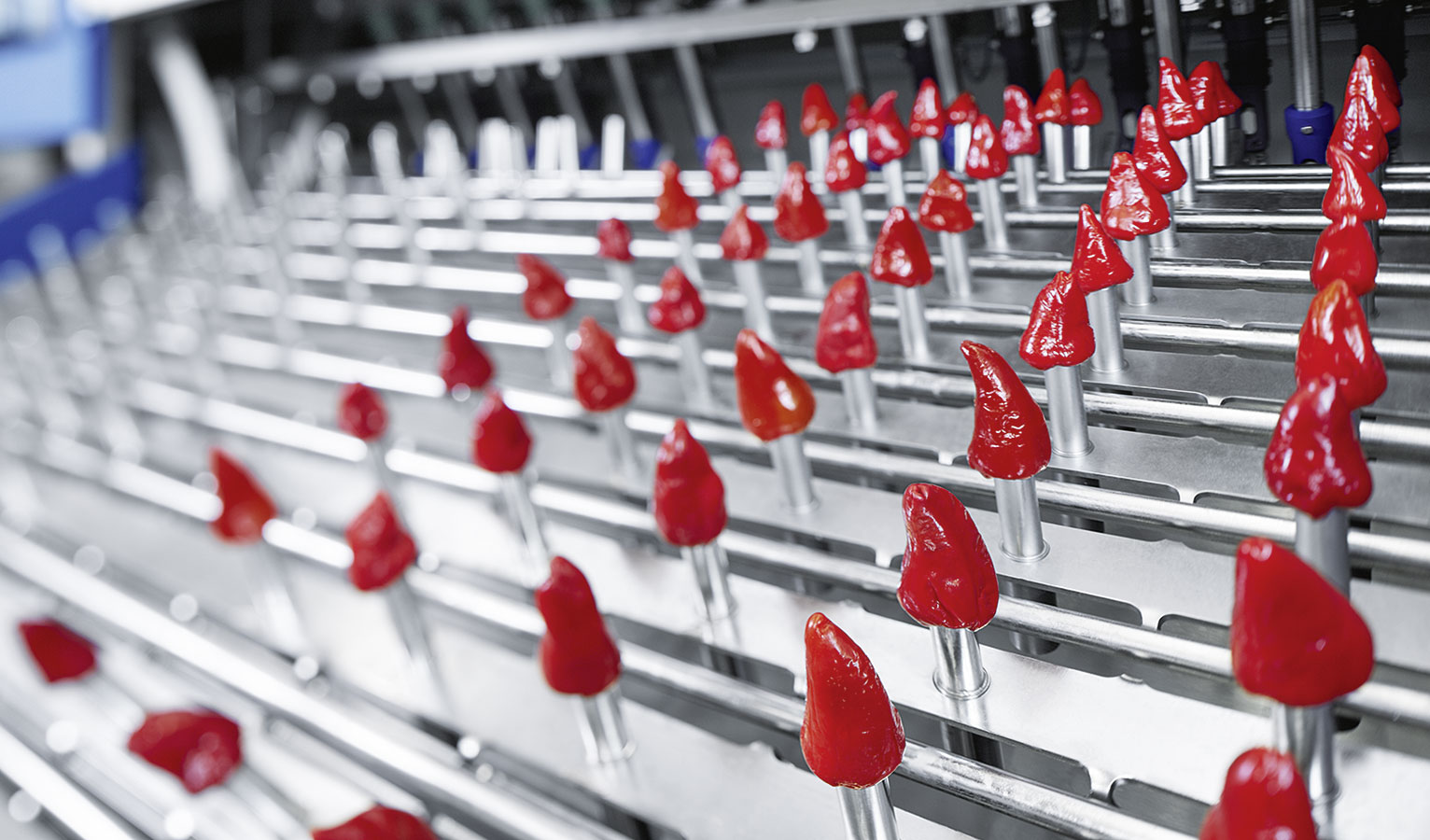 Automation technology makes it easier to fill antipasti