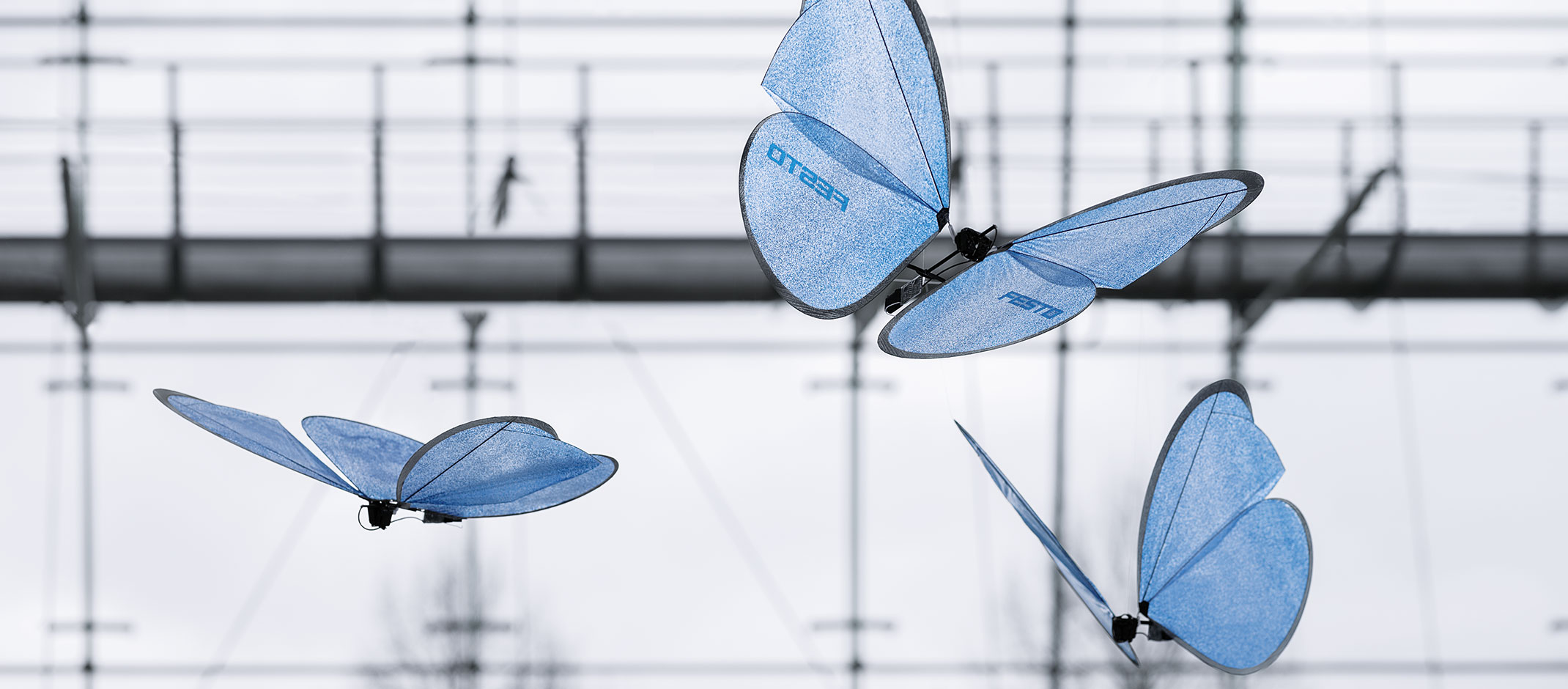 eMotionButterflies | Festo Corporate