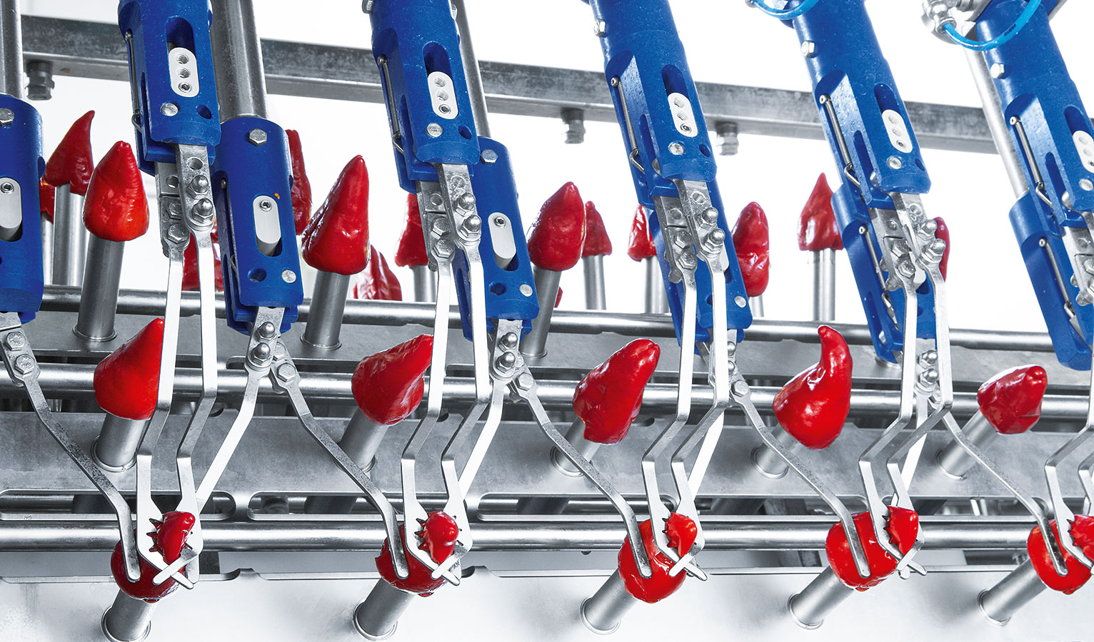 Automatisierungstechnik erleichtert das Füllen von Antipasti