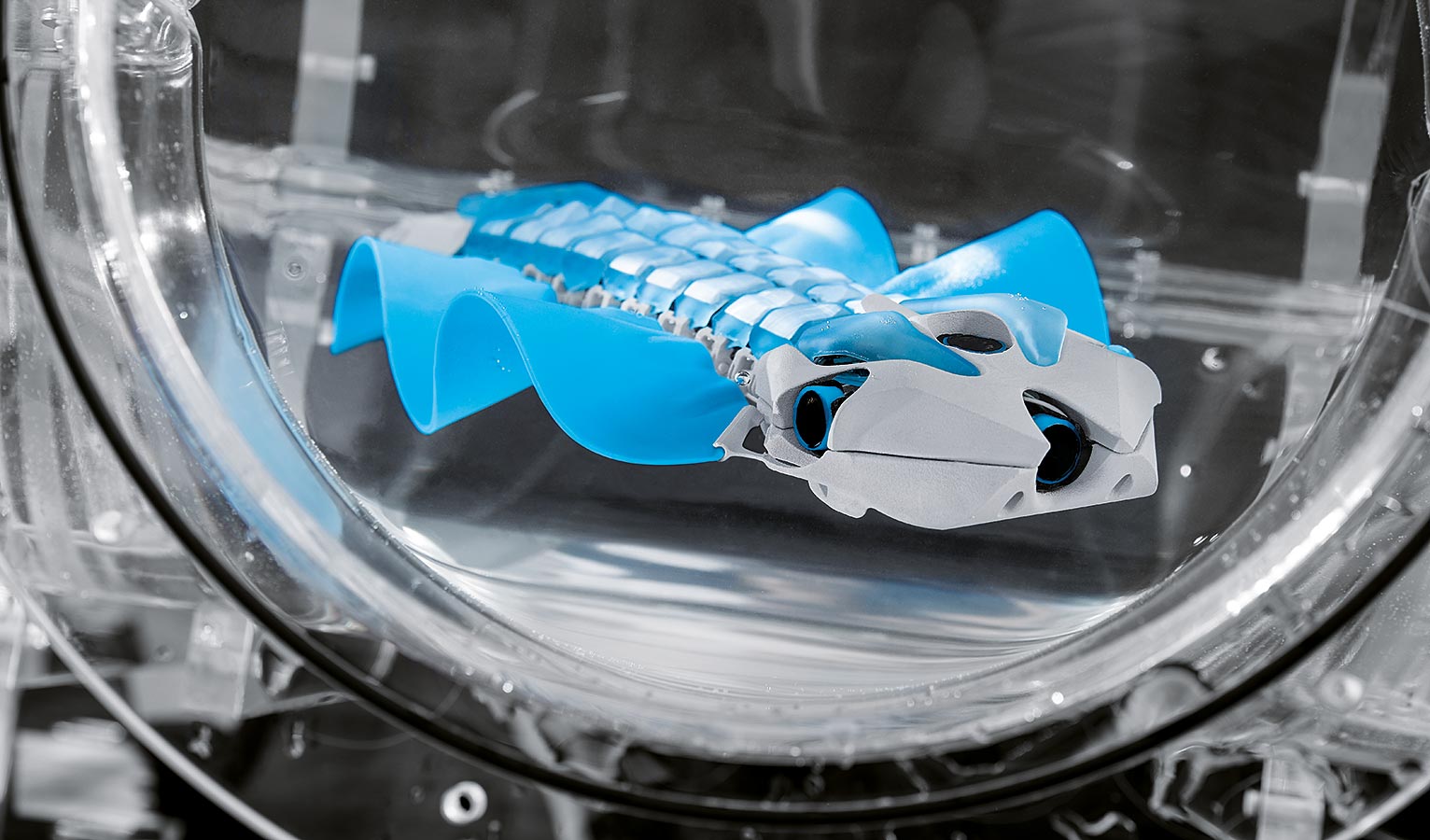 Five ultrasound sensors on its head constantly measure the distances to the walls.