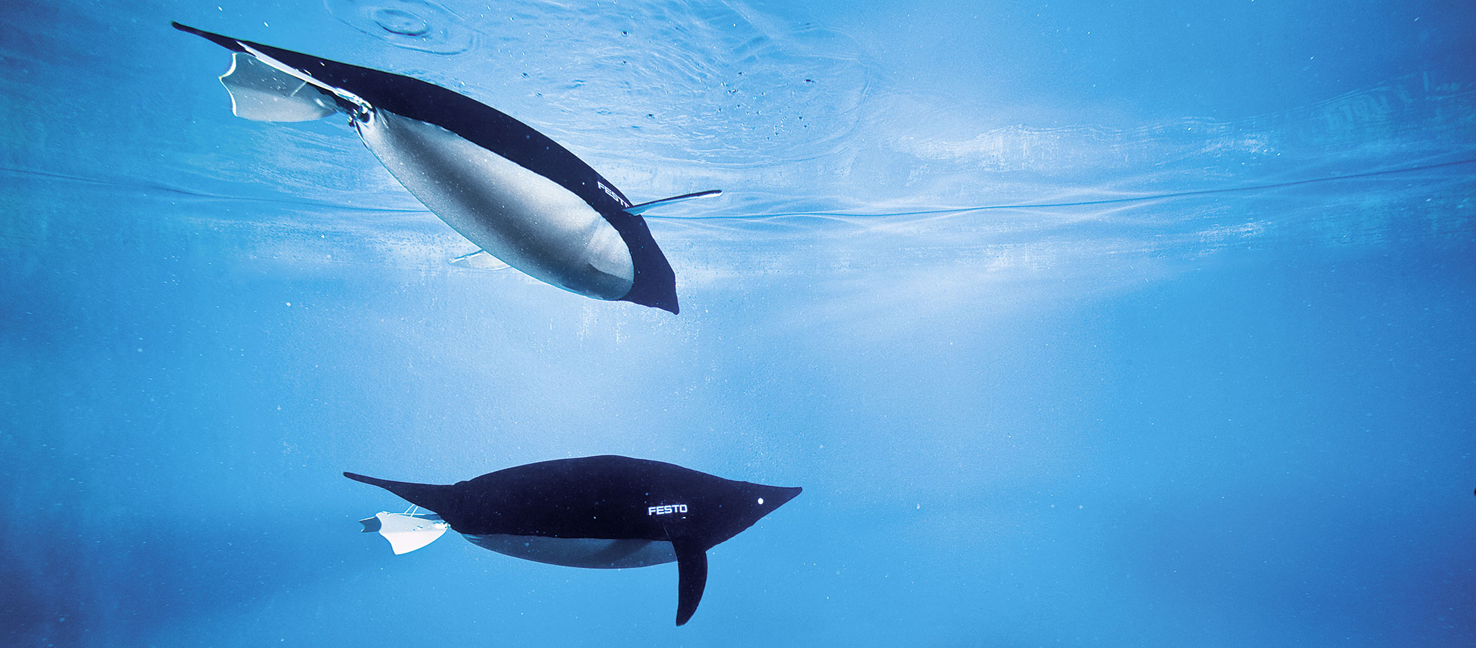 festo bionic animals