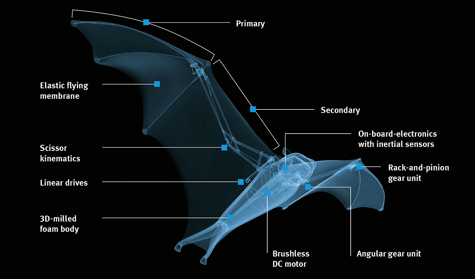 Une construction astucieuse : le système électronique on-board intégré dans le fuselage qui interagit avec le système mécanique des ailes