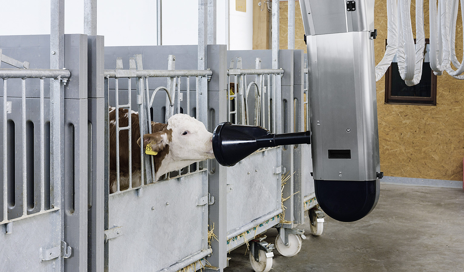 Voici ce à quoi peut ressembler l'alimentation automatisée des veaux : CalfRail, la station d'abreuvement mobile pour veaux en boxes individuelles de la société Förster Technik.