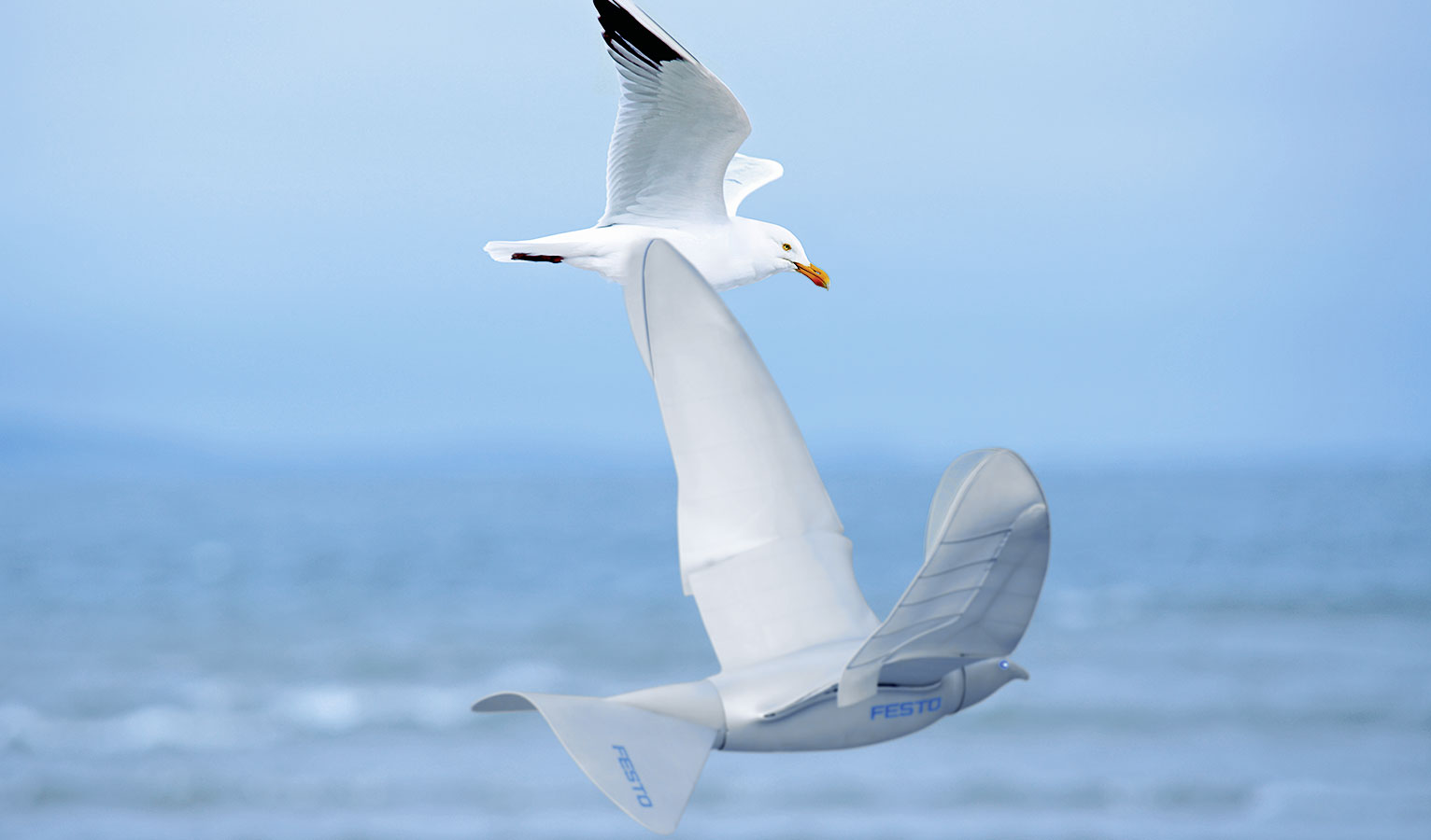 Smartbird Festo Entreprise