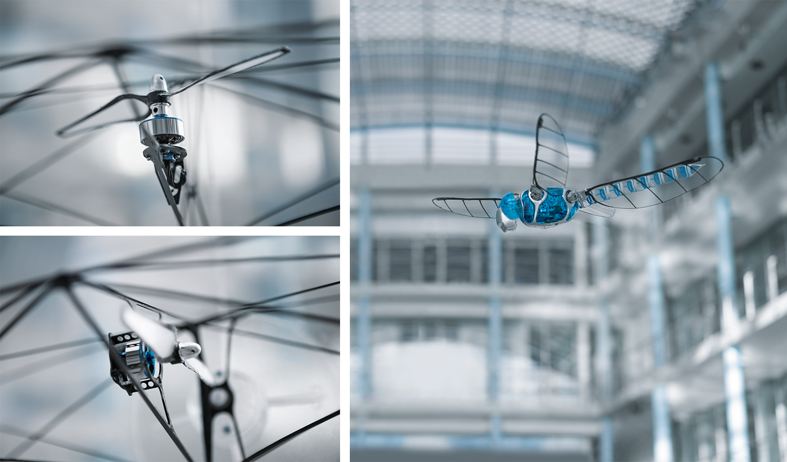 FreeMotionHandling 和 BionicOpter