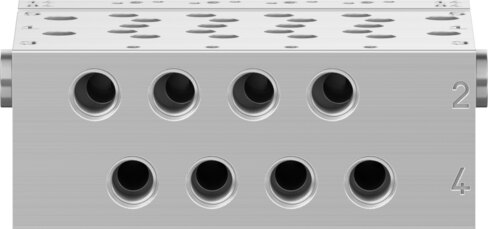 Manifold rail