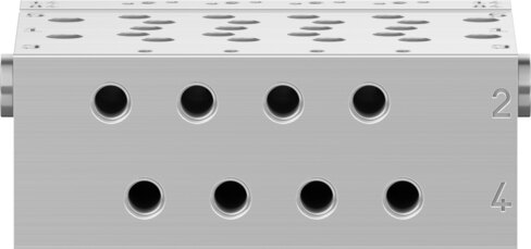Manifold rail