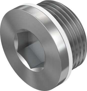Blanking plug