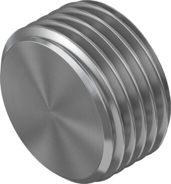 Blanking plug