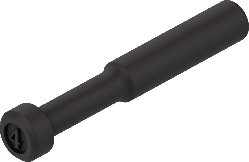 NPQE-P-S4-P10