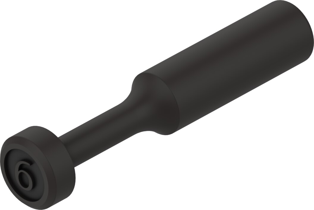 NPQE-P-S6-P10