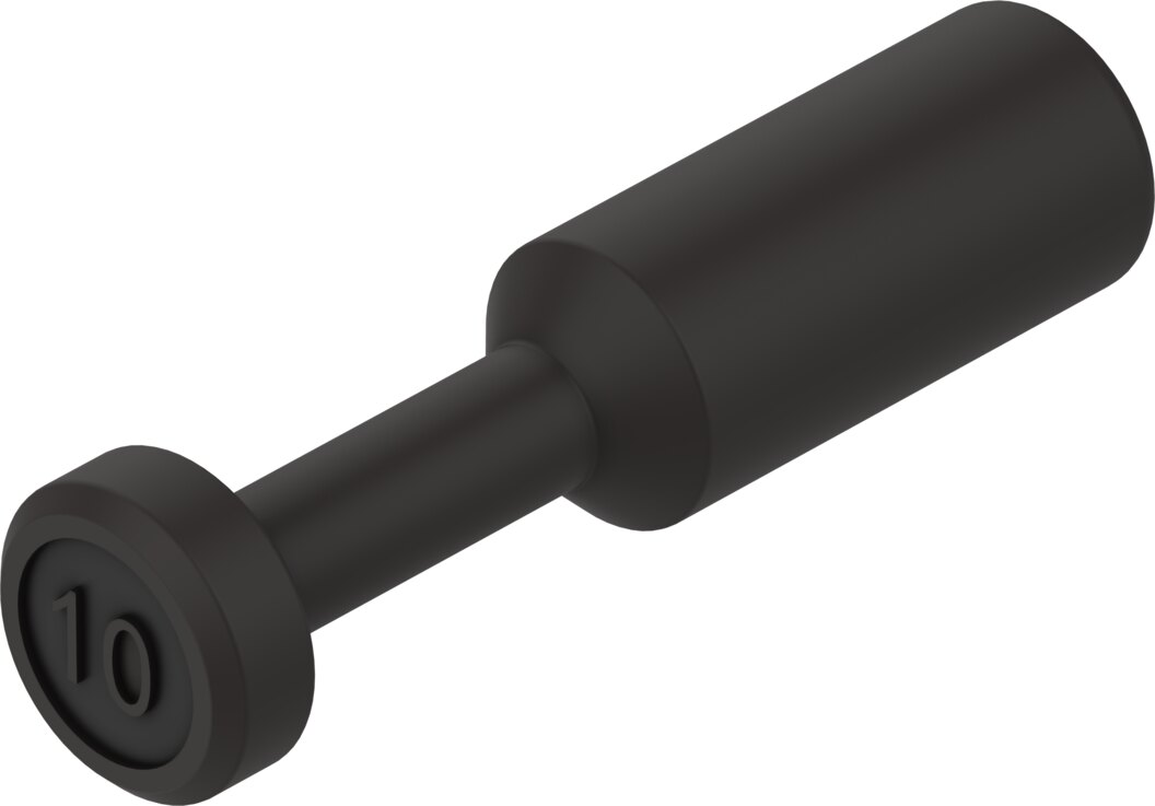 NPQE-P-S10-P10