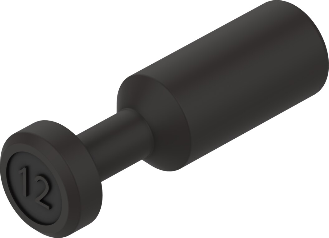 NPQE-P-S12-P10