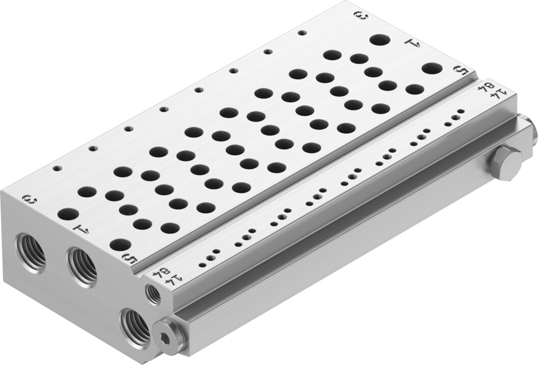 Manifold rail