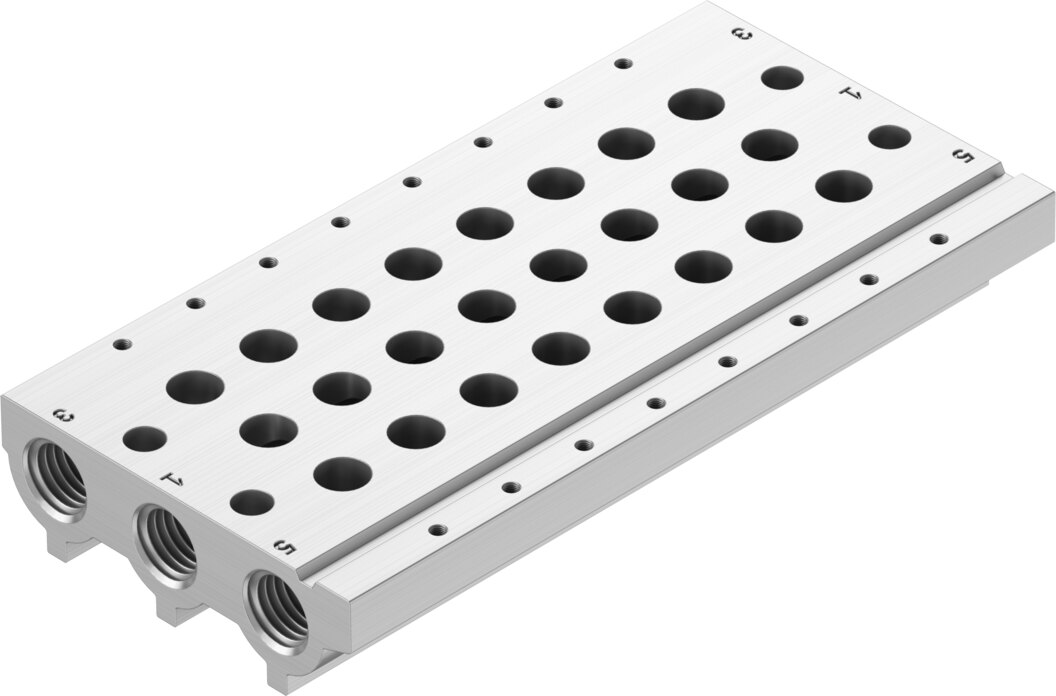 Manifold rail