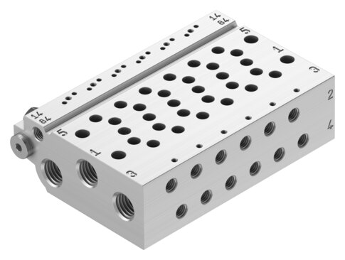 Manifold rail