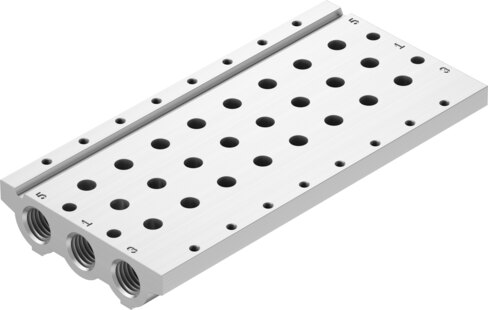 Manifold rail