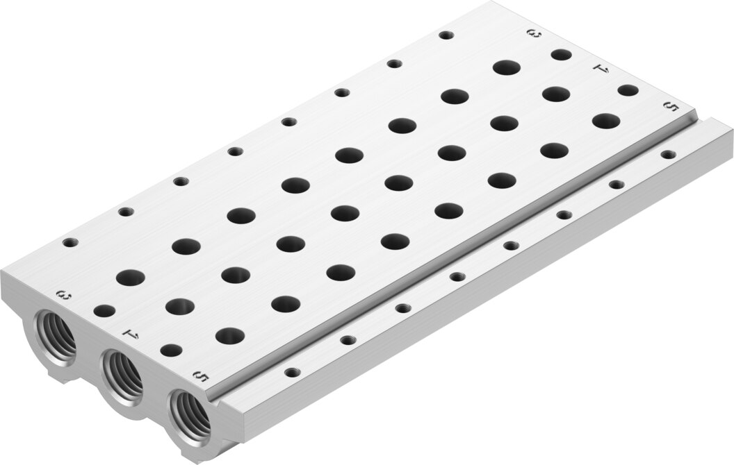 Manifold rail