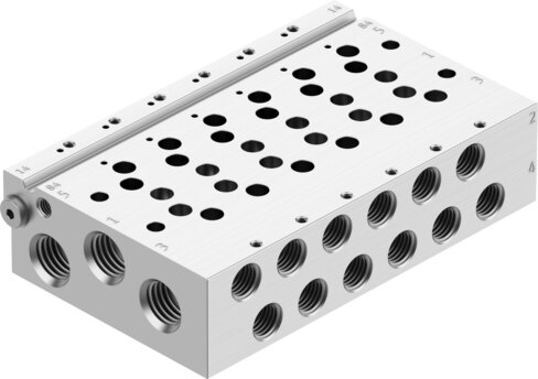 Manifold rail