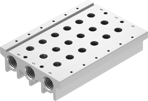Manifold rail