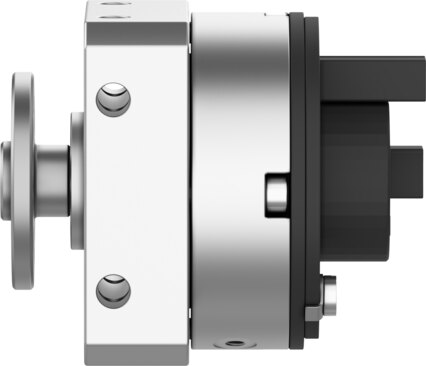 Semi-rotary drive DSM-10-180-P-A-FW | Festo TW