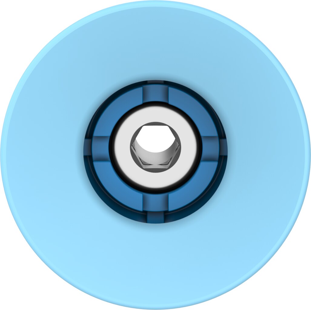 Suction cup with connection