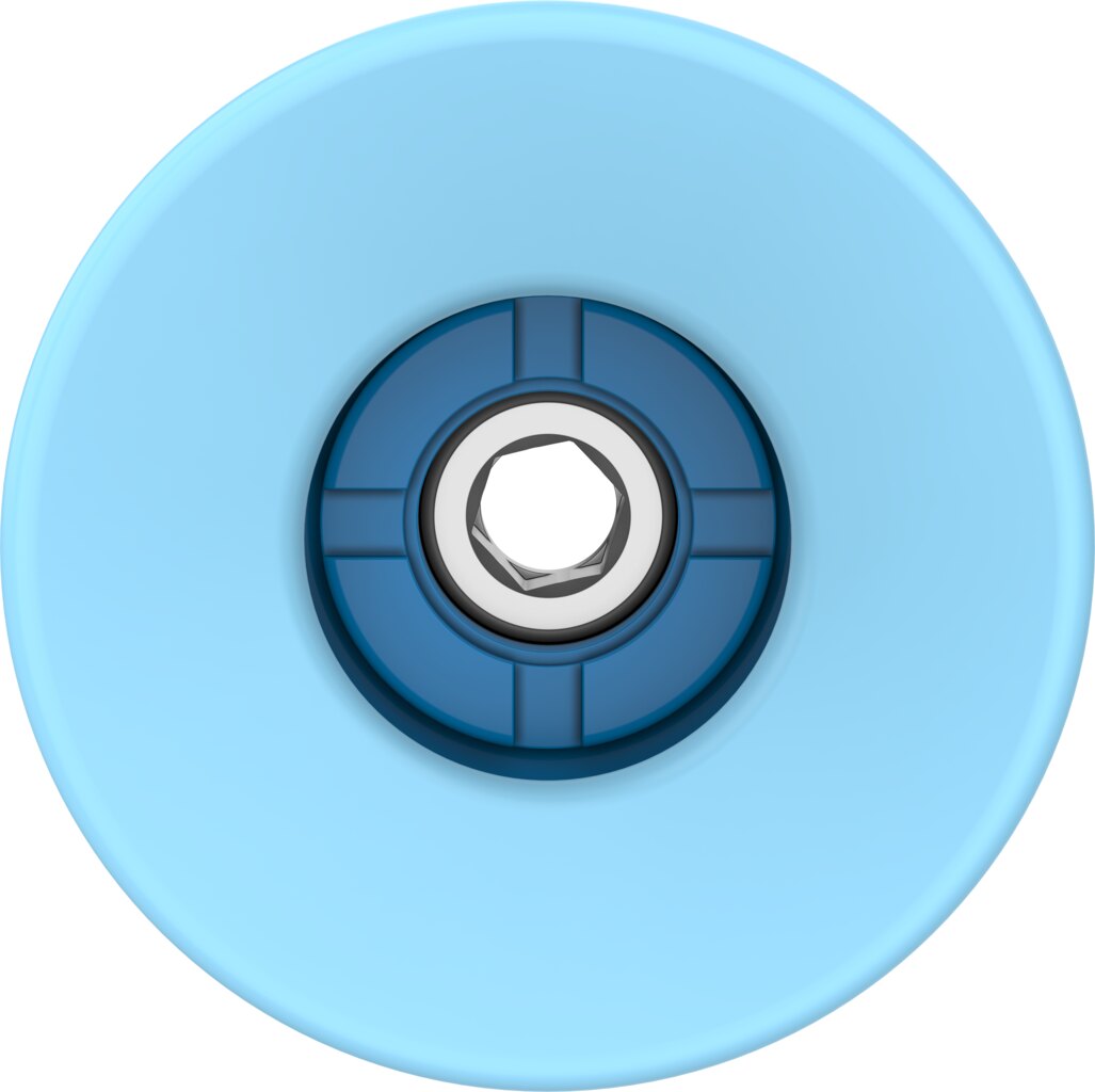 Suction cup with connection