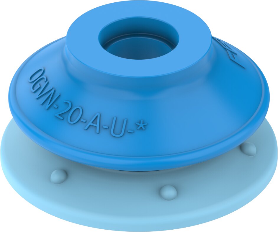 Suction cup with connection