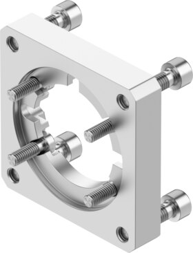 Motor flange