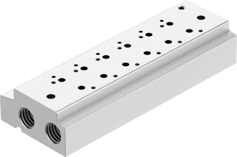 Manifold rail