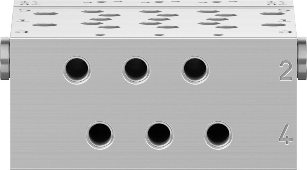 Manifold rail
