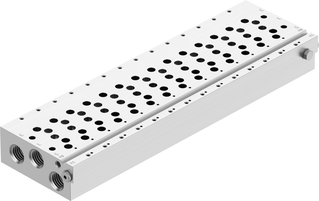 Manifold rail