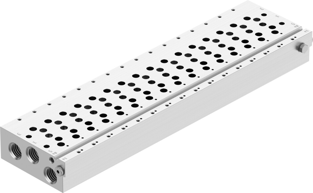 Manifold rail