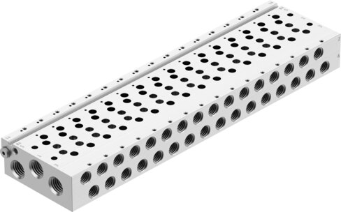 Manifold rail