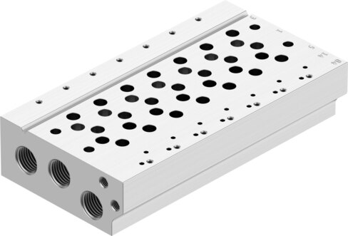 Manifold rail