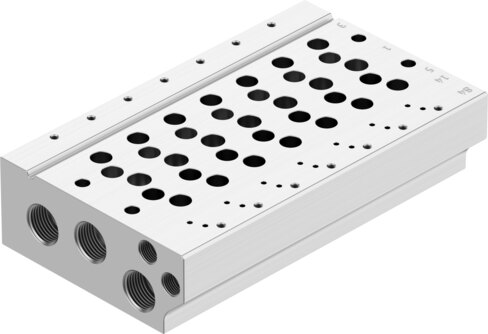Manifold rail