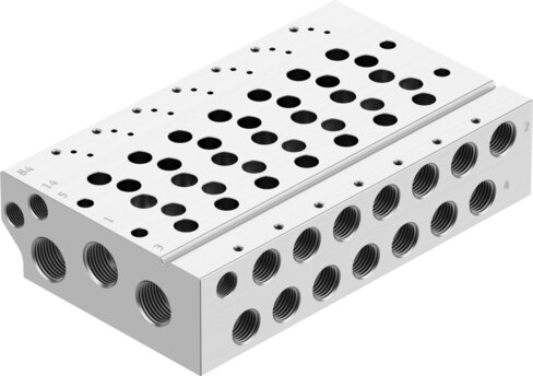 Manifold rail