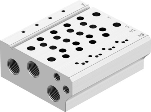 Manifold rail