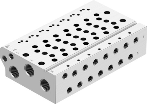 Manifold rail