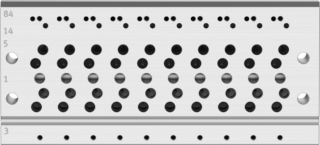 Manifold rail